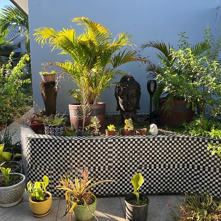 Pasifika Guesthouse 나디 외부 사진